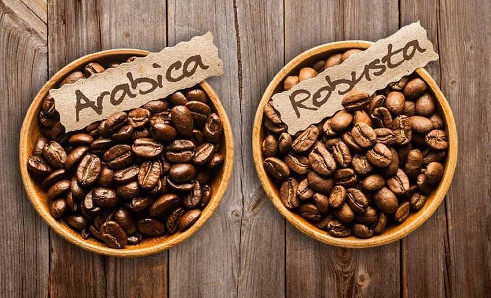 تفاوت قهوه روبوستا و عربیکا