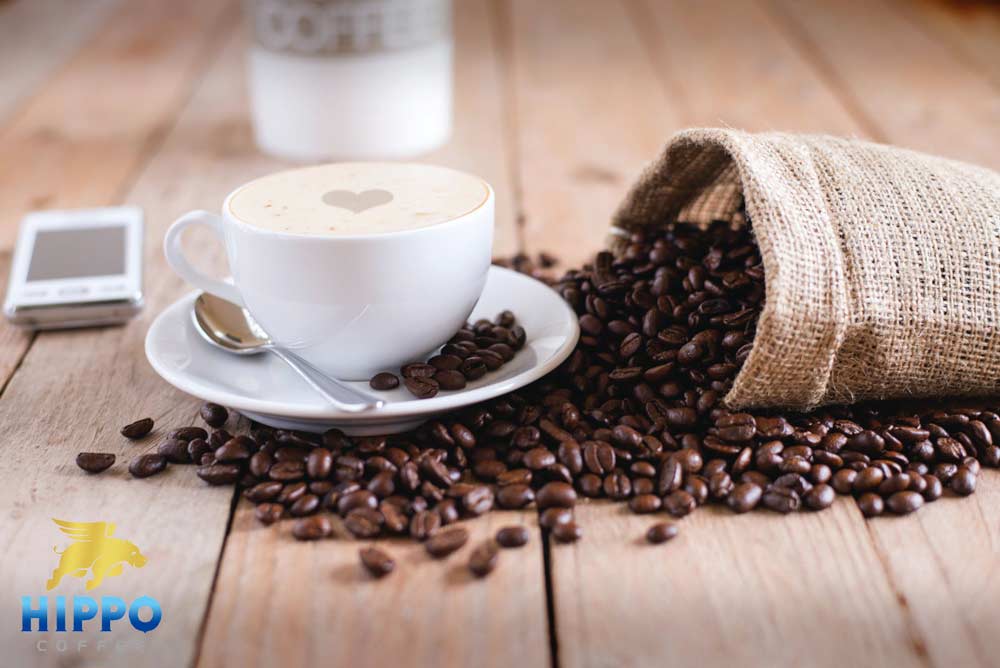 انواع قهوه| تفاوت انواع قهوه چیست