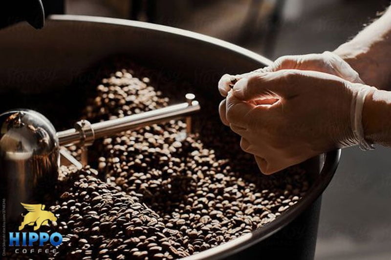 قهوه لیبریکا چیست